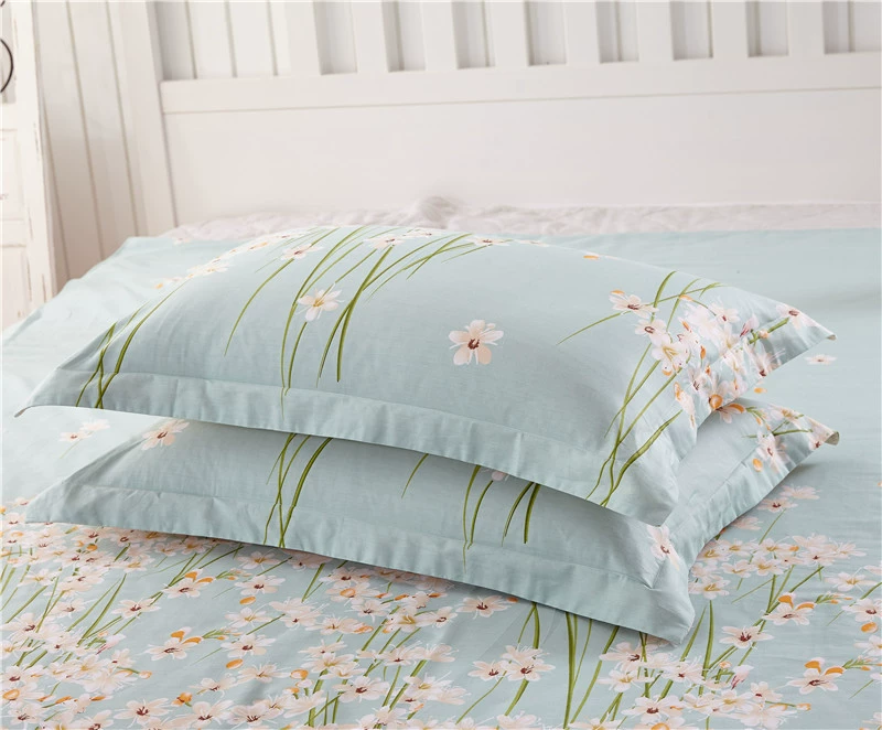 Gối bông sinh viên trẻ em hoạt hình 74x48 đơn 30x50 bông vải chéo in gối