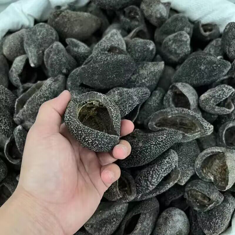 深海黑球参乌元球参干货有哪些选购技巧？-干品-淘宝百科网