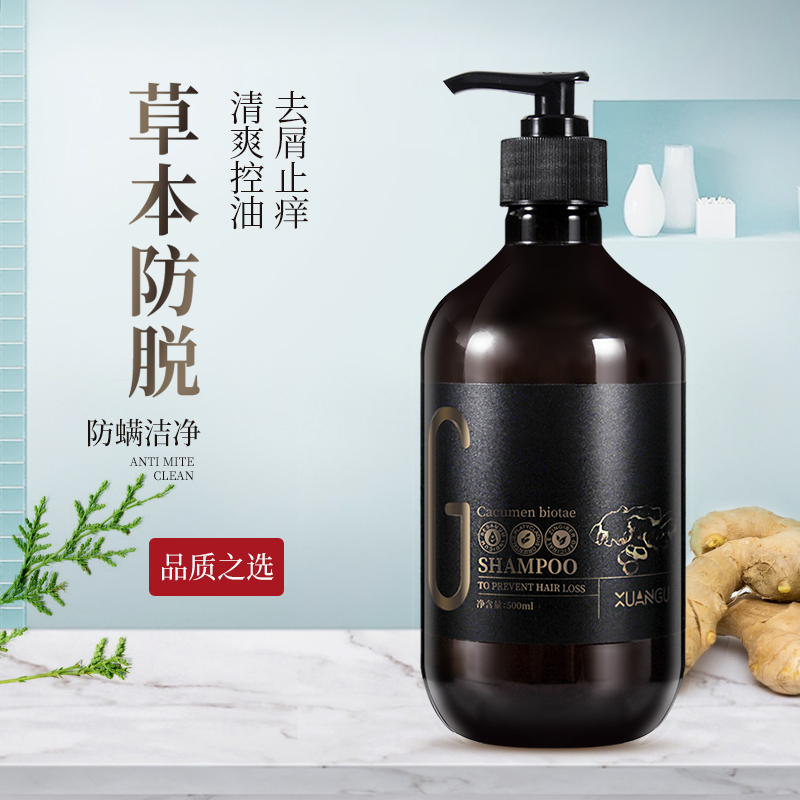 Xuangu Ginger Shampoo Anti-Hair Loss Hair Fluffy Anti-Dandruff Anti-Itch control Oil Control Men and Women Ginger Shampoo Lotion