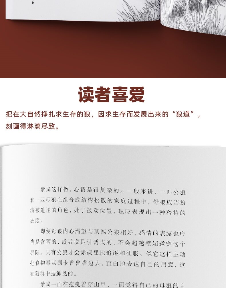 狼王梦全套5册沈石溪动物小说画本系列小学生阅读书籍-阿里巴巴