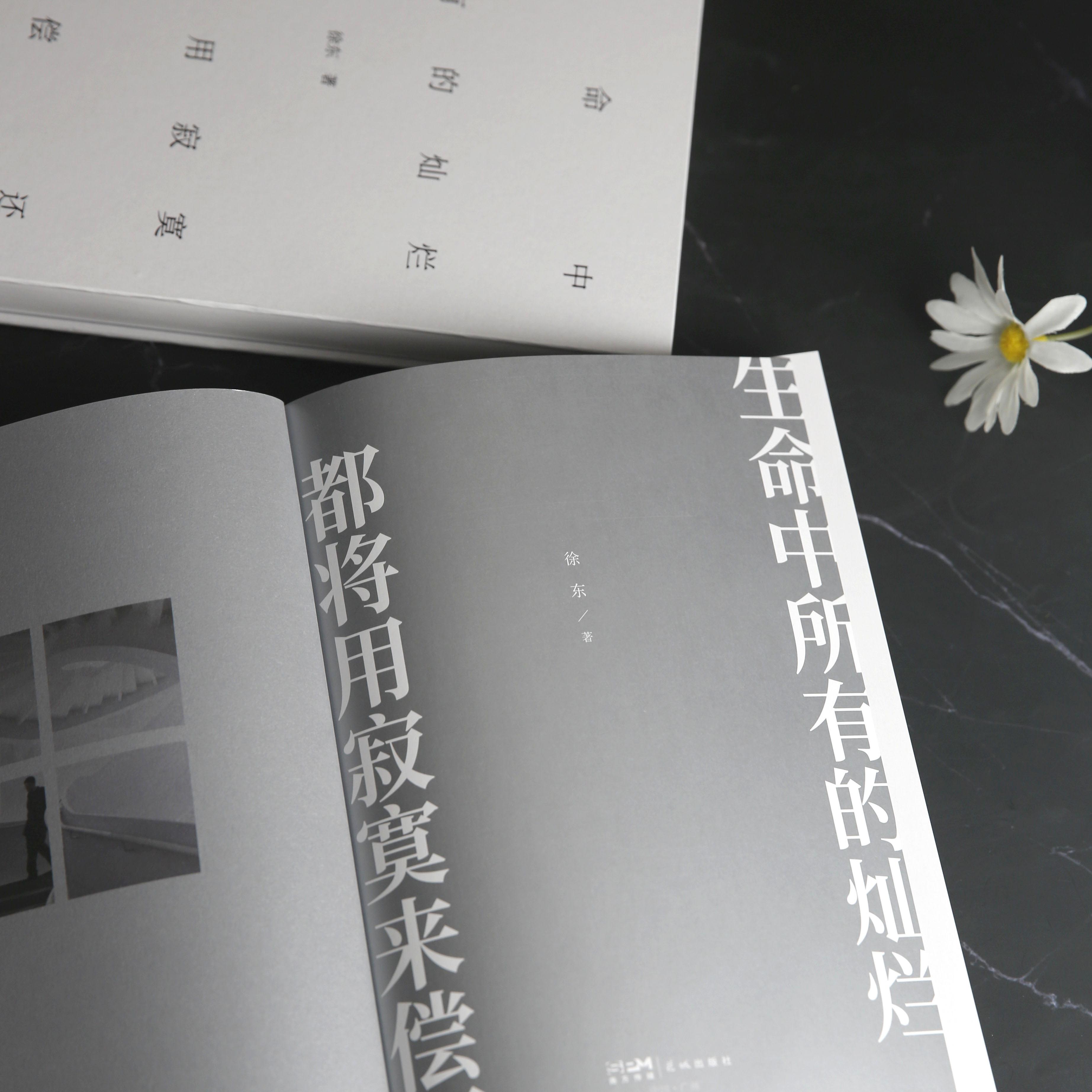 生命中所有的灿烂都将用寂寞来偿还 徐东 中国现当代文学诗歌