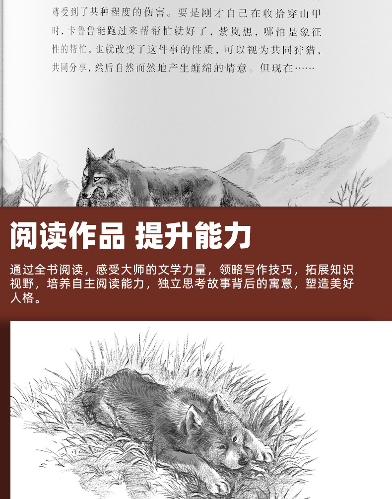 狼王梦全套5册沈石溪动物小说画本系列小学生阅读书籍-阿里巴巴