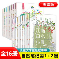 自然笔记全套16册第一辑二辑金波著美绘版昆虫印象春夏秋冬都是画微小的春天小学生三四五六年级8-15岁儿童文学故事书