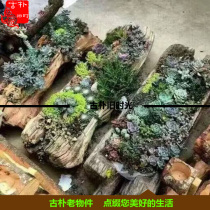 Old Elm flower trough all solid wood original ecological natural shape flower pot stand retro old objects weathered wood old flower trough