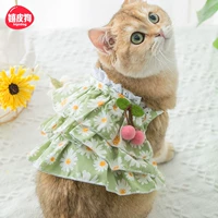 Зеленая ромашка