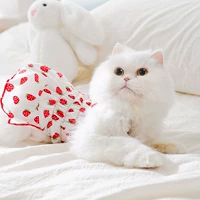 Розовая клубника