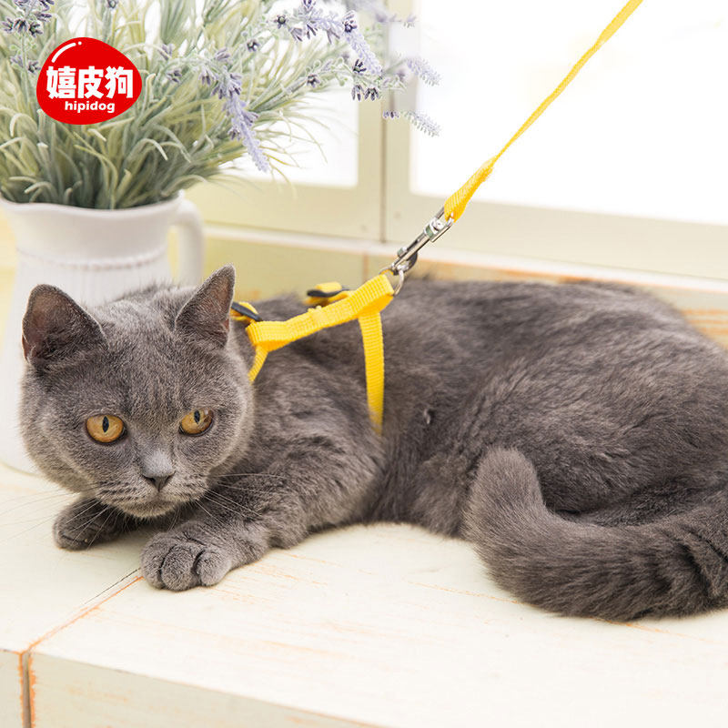 Cat Rope Traction Rope Anti-off Home Cat Rope Item Ring Out for a Cat Amazing Young Cat Cuddling Bag Kitty Special