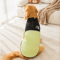 Tien Green (может быть пойман в ловушку)