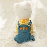 Собачьи брюки с вышившим цветочным джинсовым джинсовым джинсовым джинсом