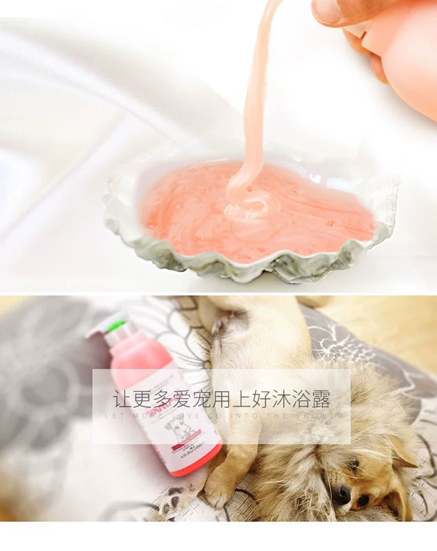 Khử trùng sữa tắm cho chó 螨 khử mùi cho mèo Teddy Platinum Mao - Cat / Dog Beauty & Cleaning Supplies