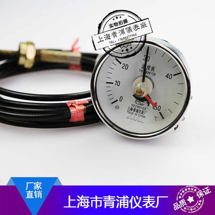 温度表 电接点温度计WTZ-603 0-100度 2米/3米上海青浦仪表厂