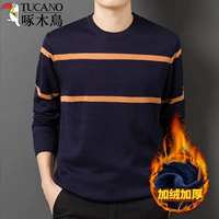XY18211 Тибетский Цин