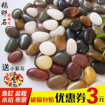 鱼池鹅卵石花盆栽碎石子俄娥硪蛾鹅饿卵石大的彩色石头粒铺地大