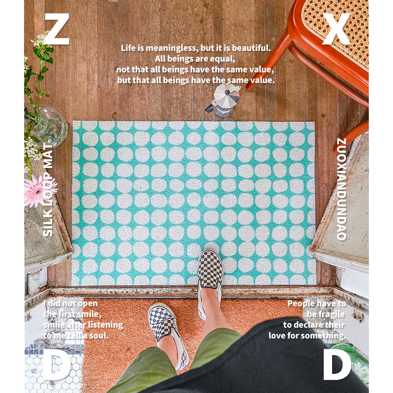 Zuo Xiandun Road Breeze series entry door mat pvc household non-slip modern hall floor mat ins household floor mat