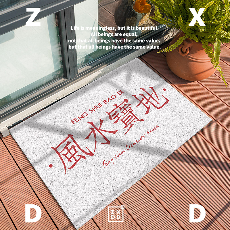 Zuo Xiandun Road fun ins door mat scraping mud dust door mat mat door carpet out of the silk ring mat