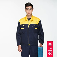 Тибетская синяя пиноло желтая полоса