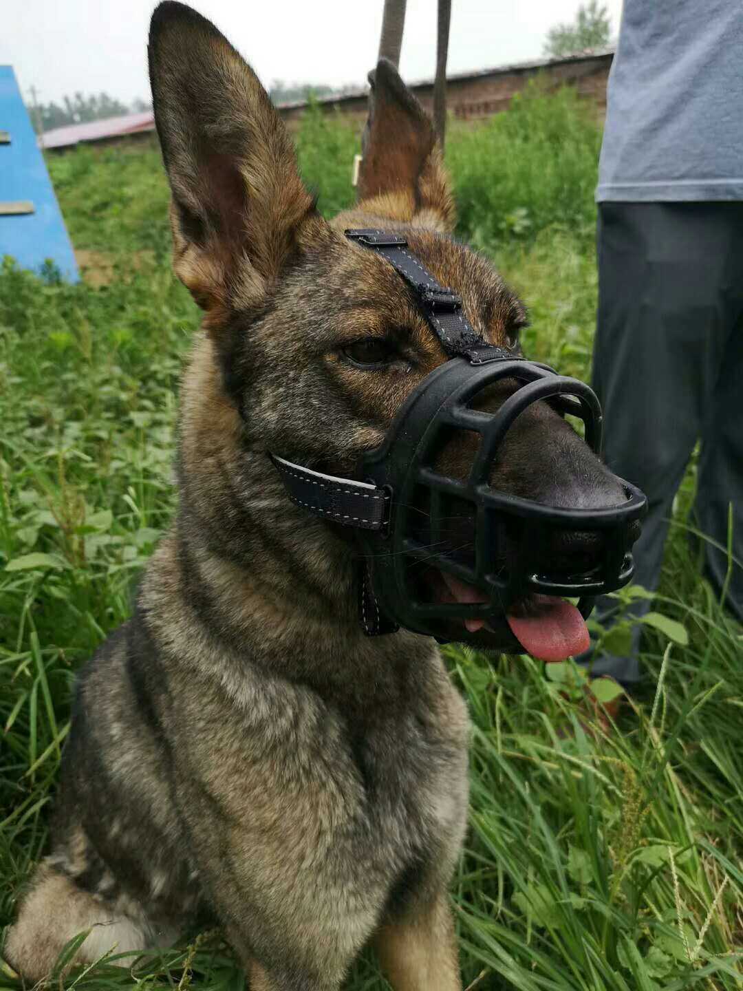 Dog mouth cover dog mouth cage dog mask horse dog German shepherd mouth cage anti-bite silicone mouth cover
