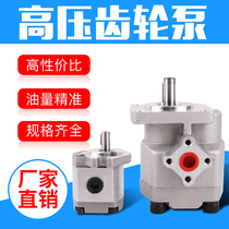 High pressure gear pump HGP-1A-F5R 6R 3R 8R HGP2A-F6R 8R hydraulic pump Hydraulic oil pump