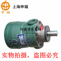 Shanghai Shenfu high pressure pump 2 5 5 10 25 40 63 80 160MCY14-1B hydraulic axial piston pump