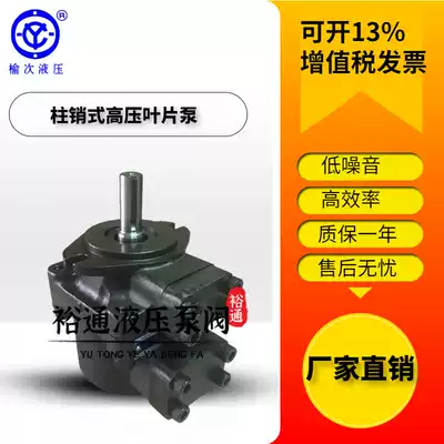 Tai Yuci hydraulic double vane pump PFE-31036-1DT PFE-31044-1DT pin oil pump