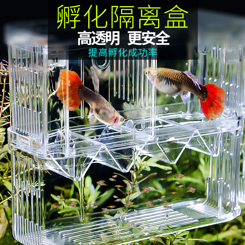 Peacock fish breeding box fish tank fry incubator isolation box small fish hatcher large acrylic fish egg delivery room