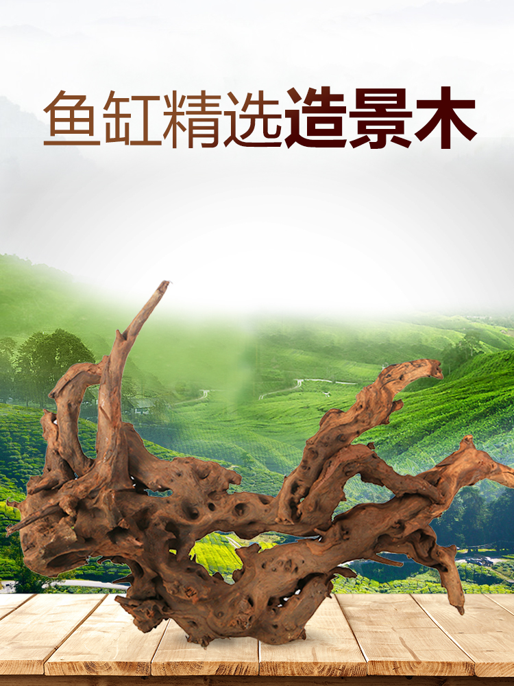 Fish tank Landscaping Sink wood Water plant Small rhododendron root Brazilian wood Natural decorative tree roots Large tree Forest stump