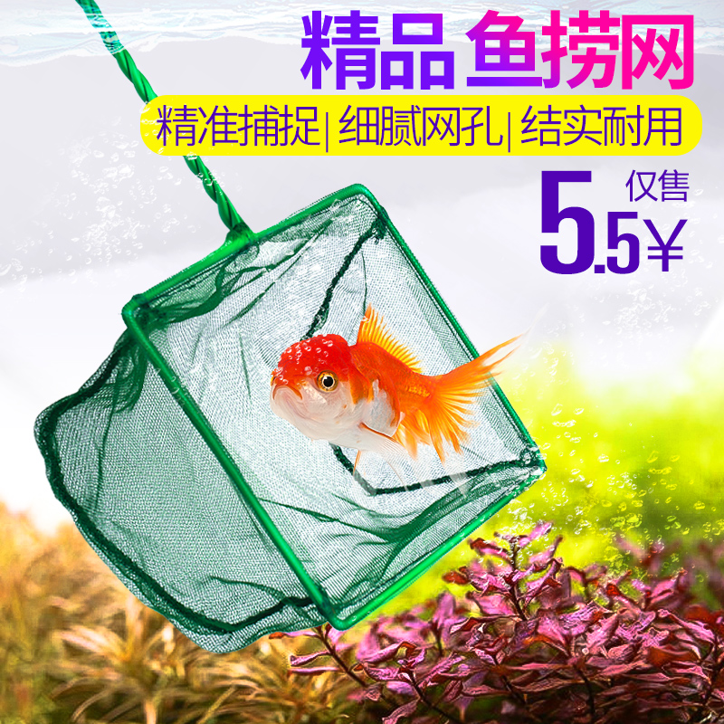 Crazy aquatic fish tank, fish fishing, goldfish fishing, fishnet, fish tank, copy the net, net fishing pocket circle