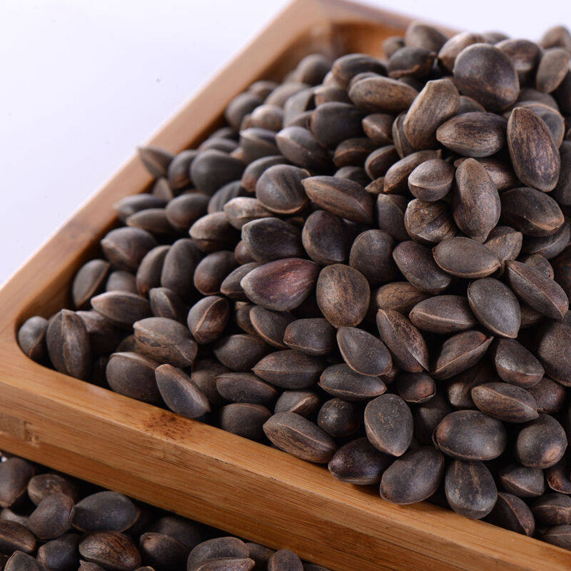 2 catties of Yunnan fresh wild pine nuts new goods falling into the water wet pine nuts thin skin hand peeled pine nuts bulk original flavor large particles