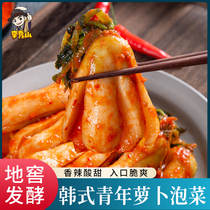  Korean radish Kimchi Korean youth radish pickles Northeast Yanbian Korean authentic radish pieces under 1 kg of food