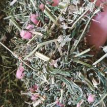 Motherwort wild sulfur-free suitable for soaking feet in water