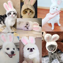 Pet cat and dog white rabbit ear hat transforms into a white rabbit and white bear style hat cute and cute for photo taking