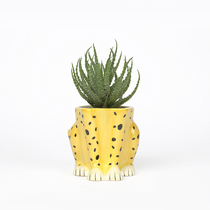 Spanish DOIY Urban Jungle animal urban leopard flower pots