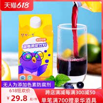 Freshly Squeezed Blueberry Virgin Berries Blueberry Juice Drink I Village Mountain Wild Blueberry Fruit Pulp Drink