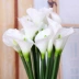 PU Calla Lily Mô phỏng Bó hoa Chi nhánh đơn Hoa tay Hoa khô Hoa giả Vườn nhà Trang trí phòng khách Bó hoa - Hoa nhân tạo / Cây / Trái cây