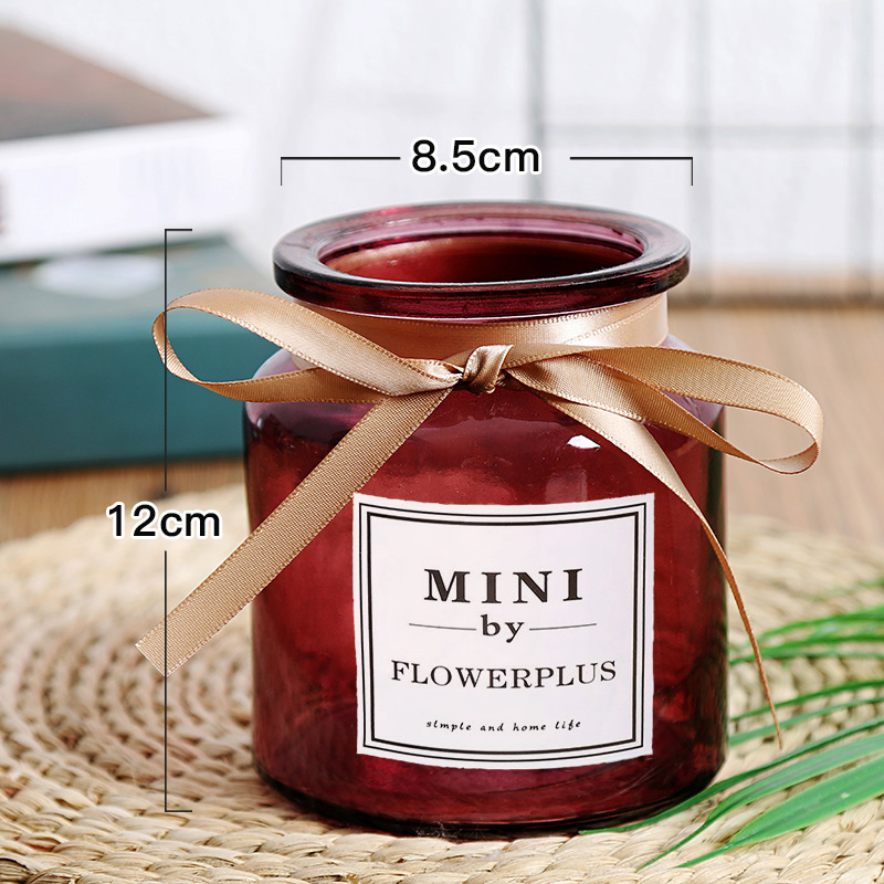 Bình thủy tinh sáng tạo Luo Jiuli nước hoa bình hoa máy tính để bàn chèn hoa khô mô phỏng hoa bình hoa - Vase / Bồn hoa & Kệ bình thủy tinh trồng cây