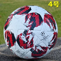 20 сезон красочный красный (№ 4)