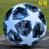 20 Чемпионов Лиги серой и белой звезды (№ 5)