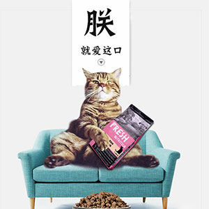 蒲葵宠物用品专营店