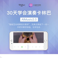 AI Music College Zero Basic Carlinba Thumb Piano Prinepling Course 30 дней VIP -обучение видео видео