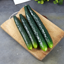 Simulation fruit fake vegetable PU cucumber simulation cucumber green gourd model kitchen cabinet decoration shooting props