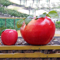 Simulation oversized water fruit and vegetable model fake Apple model performance dance shooting props supplies decorative ornaments