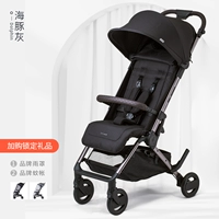 Дельфин пепел [Diamond Model]