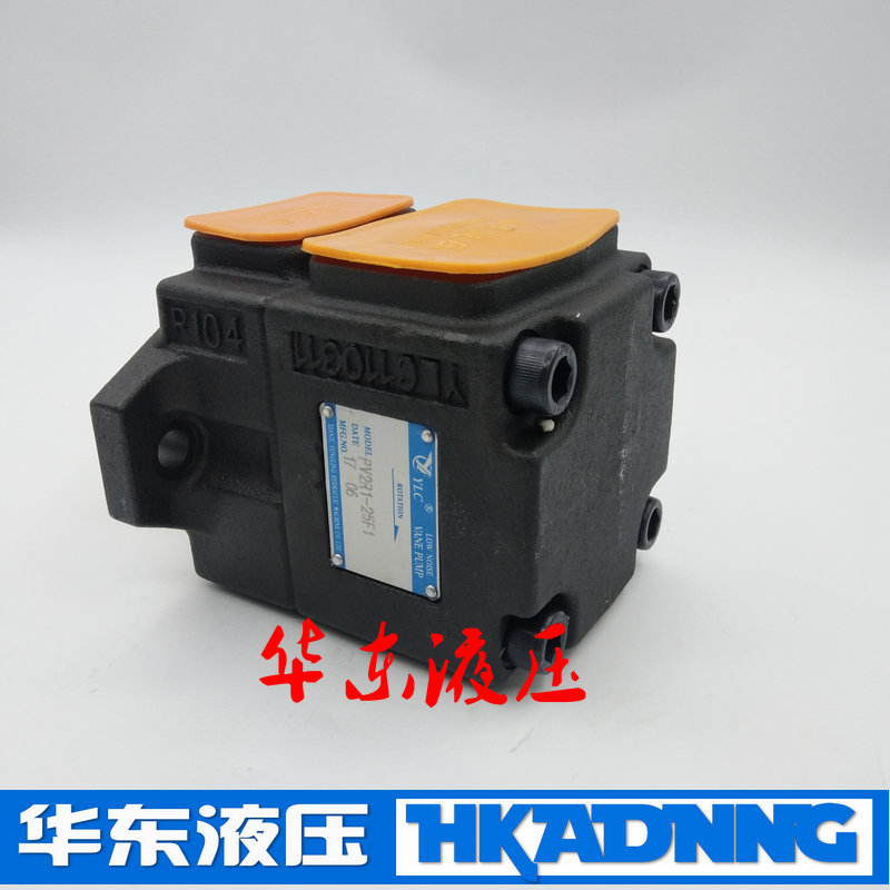 Xianju Yongling vane pump YLC PV2R1-19-F1 PV2R1-23 25 28 31 17 14 12RAF1