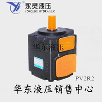 YLC Yongling hydraulic pump PV2R2-41F1 47 53 59 65 70 79 85 High pressure vane pump oil pump