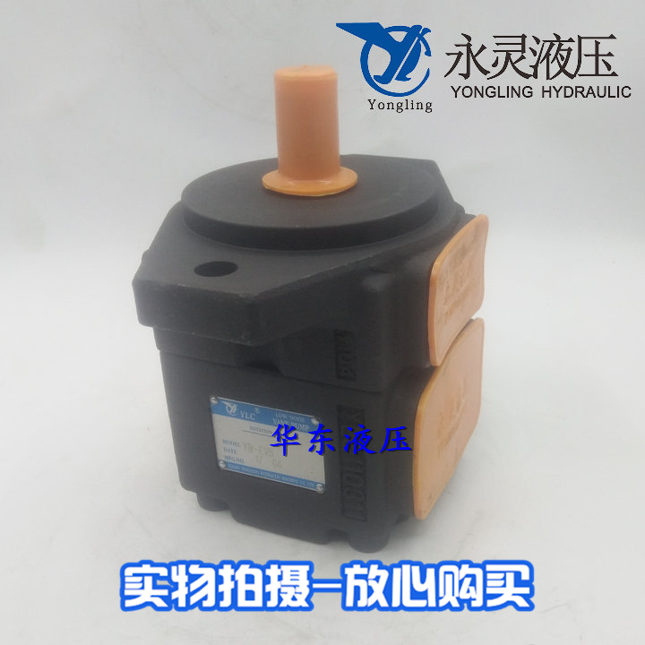 YLC Xianggu Hydraulic High Performance Blade Pump YB-E16 E32 E40 E50 E63 Oil Pump