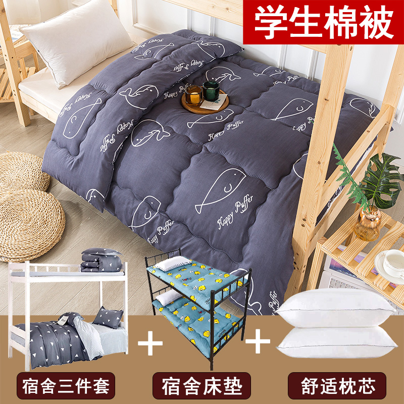 The quilt student dorm single winter is thickened to warm spring and autumn core four seasons of general cotton bedding a complete set