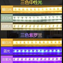Light strip bright ceiling background wall colorful color change waterproof outdoor light belt intelligent colorful horse racing light Belt