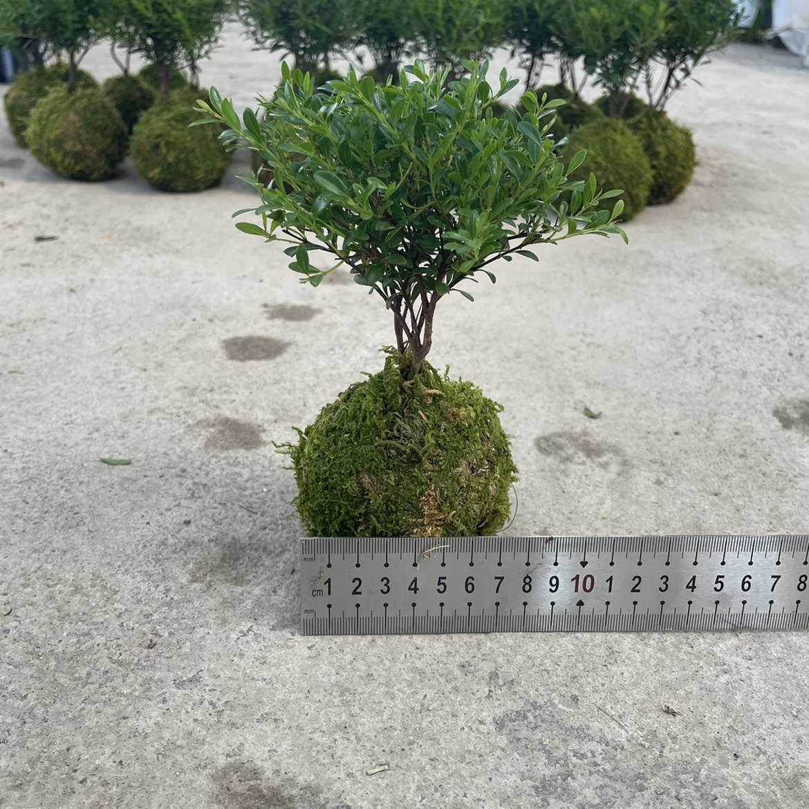 阿里巴巴达摩院南湖位置：绝绝子的科技圣地，你绝对不能错过！