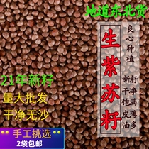 Northeast new raw sassy seed farmers self-produced perilla seeds edible raw perilla oil raw material barbecue 500g clean