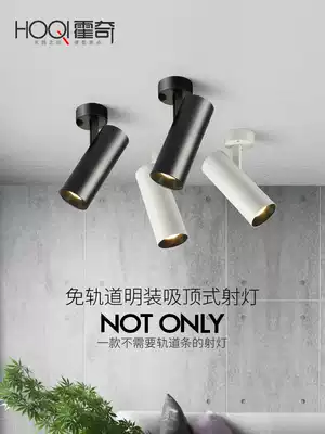 Surface mounted ceiling spotlight led track light Nordic ceiling light Living room background wall Clothing store COB rail single light